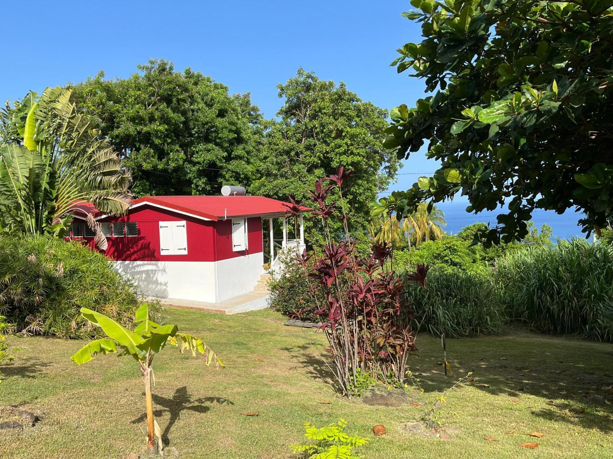 Grand Bungalow Avec Piscine Et Vue Mer Bouillante Eksteriør billede